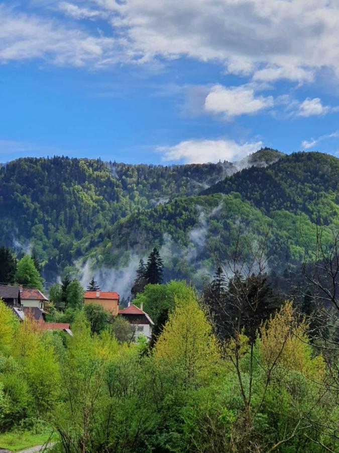 Strada Tiszas Vacation House 伯伊莱图什纳德 外观 照片